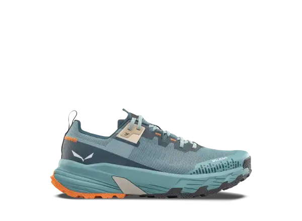Salewa Pedroc 2 Max pánské boty Willow/Pond