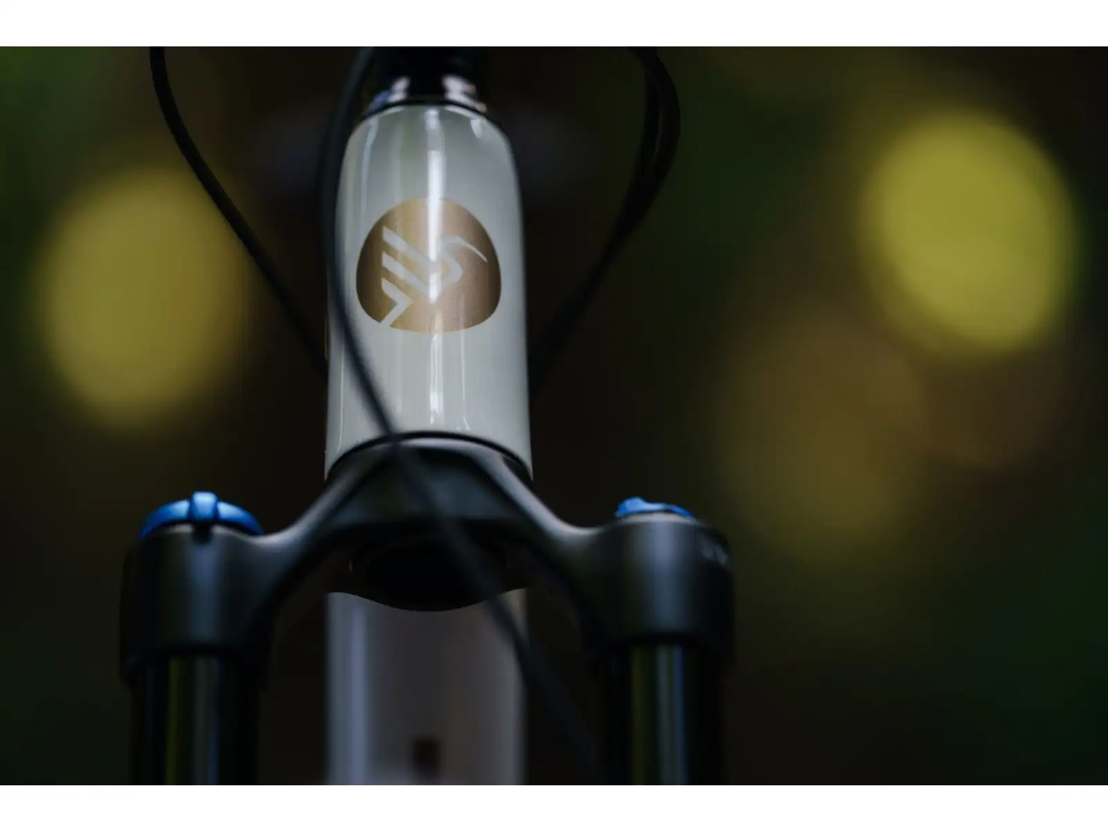 Ibis Exie V2 GX 29" horské kolo bone