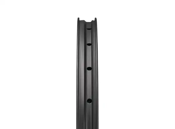 Reserve 30/SL DT 350 6děr 29" vypletená kola ořech XD