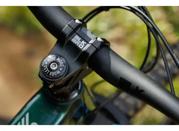 Ibis Ripley V5 GX T-Type AXS horské kolo Green Flash