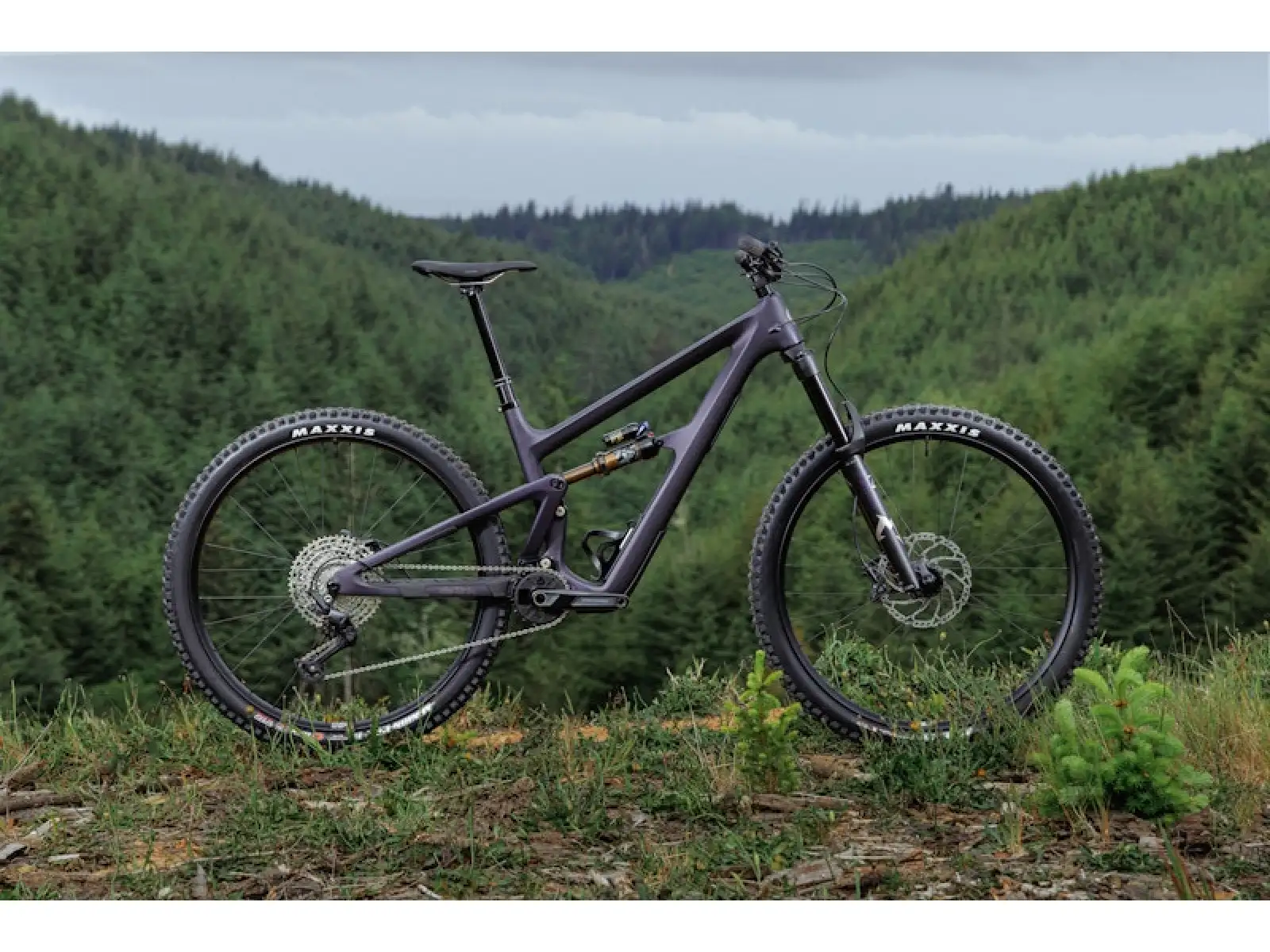 Ibis Ripmo V3 GX Eagle T-type AXS horské kolo Heckleberry Purple