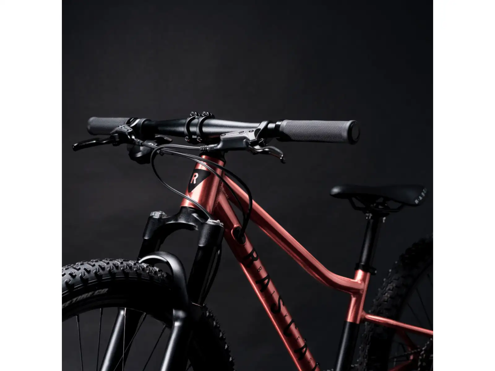 Rascal Wild 24 dětské kolo Bronze