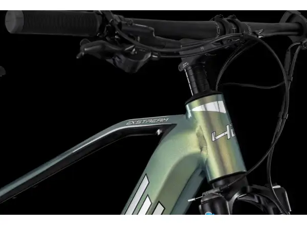 4EVER Exstream Team 820 horské elektrokolo Snake green/hologram