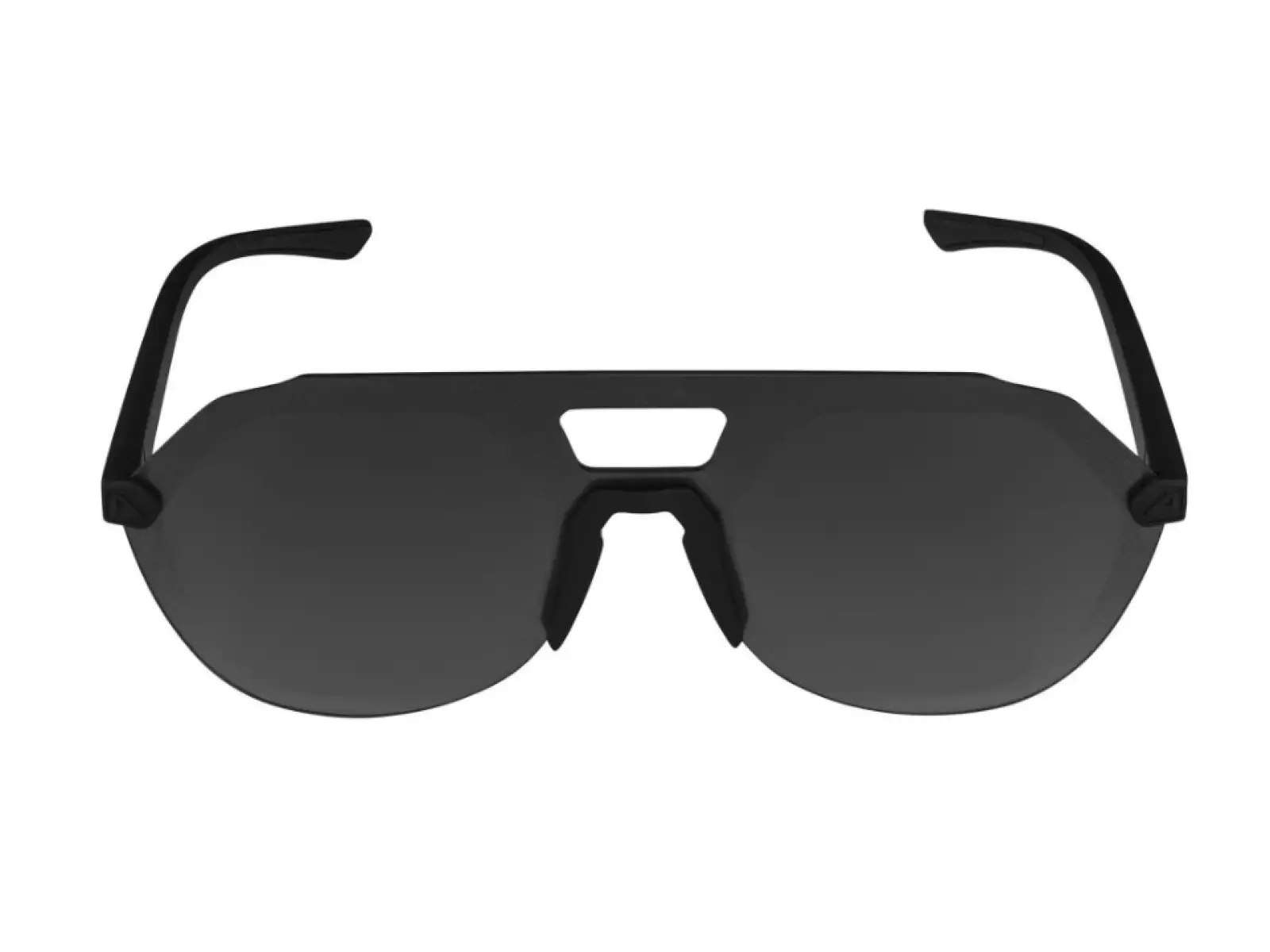 Alpina Beam II brýle All Black Matt