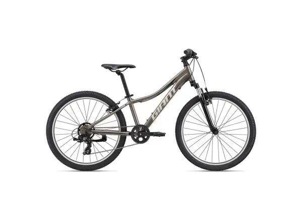 Giant XTC Jr 24 dětské kolo Metal