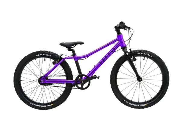 Rascal 20 dětské kolo Amethyst Limited