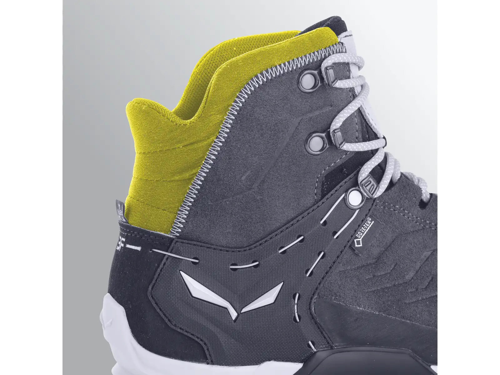 Salewa Alp Trainer 2 GTX pánské boty Bungee Cord/Black