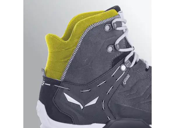 Salewa Alp Trainer 2 GTX pánské boty Bungee Cord/Black