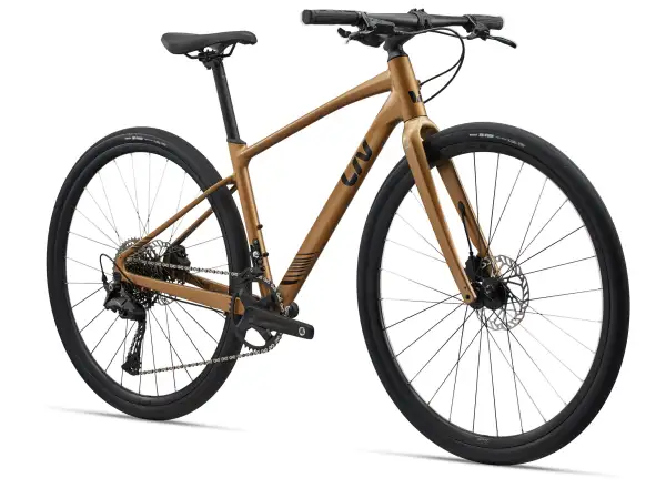 Liv Thrive 1 fitness kolo Steampunk