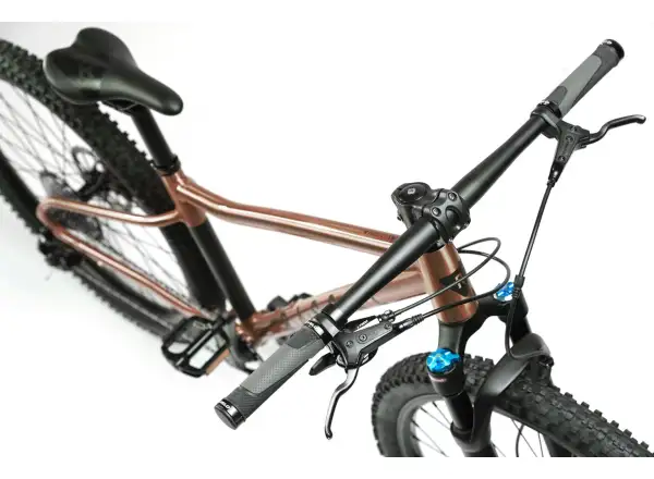 Rascal Wild 27 dětské kolo Bronze