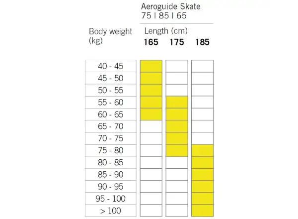 Fischer Aeroguide Skate 65 Control Skate běžecké lyže + Control Skate vázání set