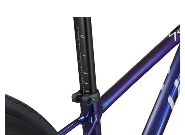 Liv Seek 2 dětské silniční kolo Purple Haze