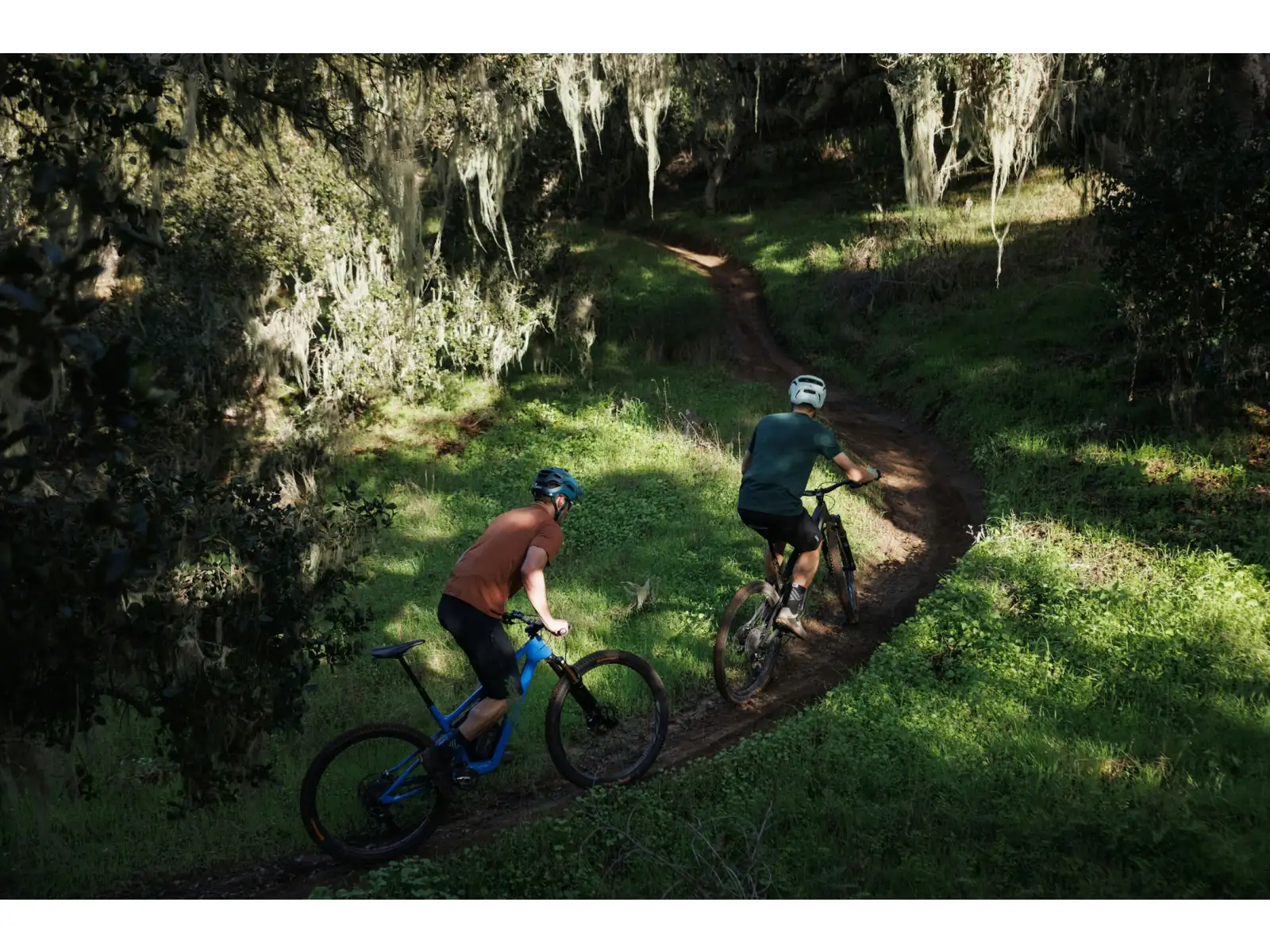 IBIS Ripley SL XTR Di2 Carbon Wheel horské kolo Raw Carbon
