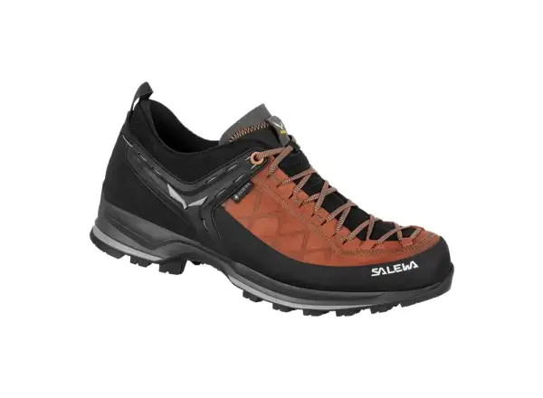 Salewa MTN Trainer 2 GTX MS pánské trekové boty