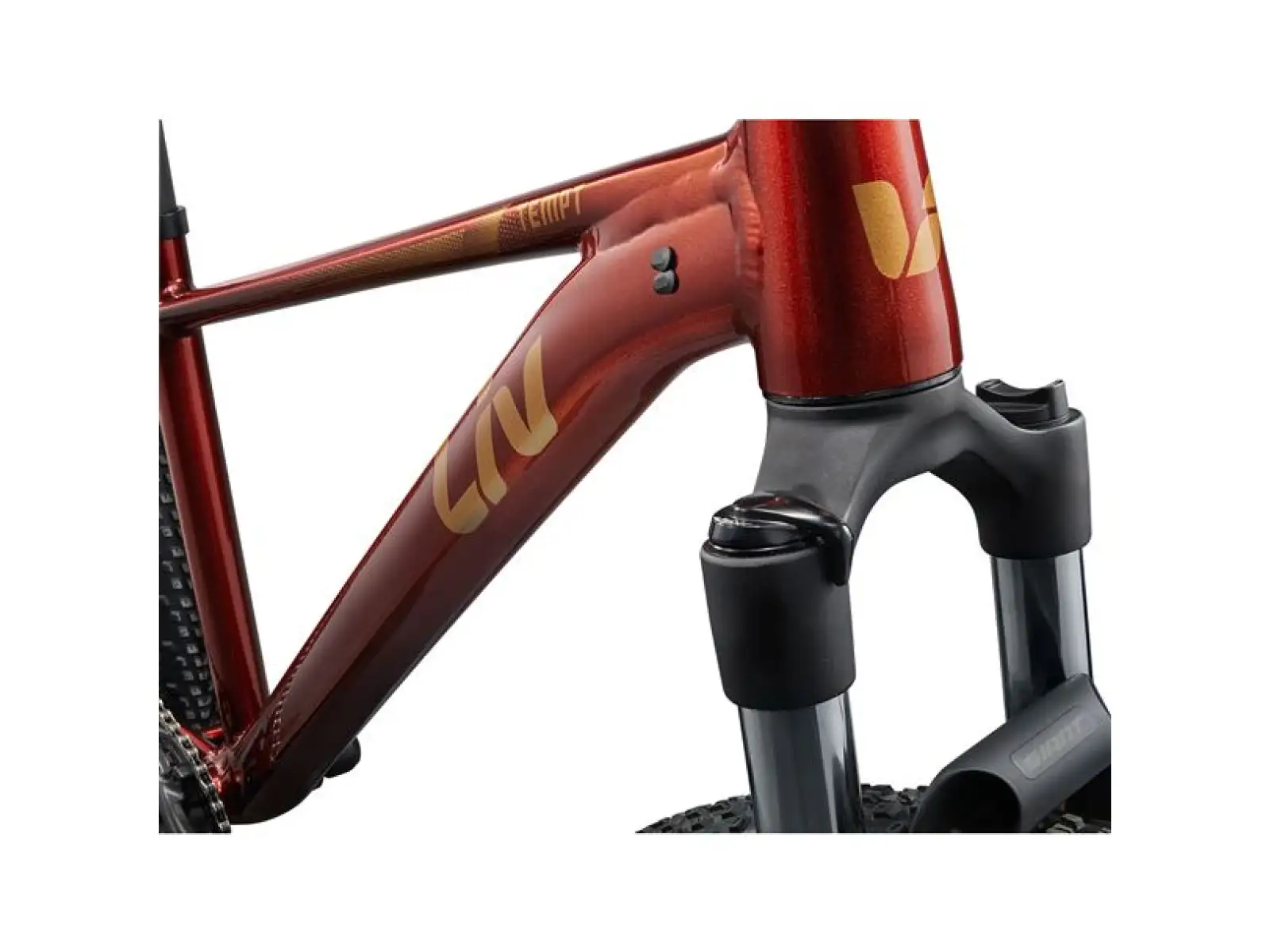 Giant Tempt 2 XS horské kolo Mars Dust
