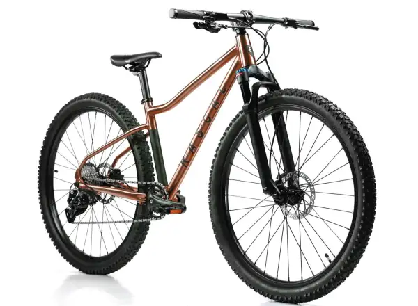 Rascal Wild 27 dětské kolo Bronze