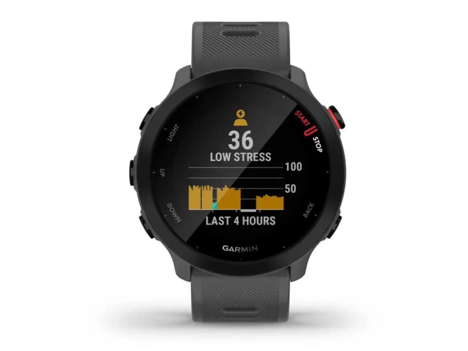 Garmin Forerunner 55 chytré hodinky Grey