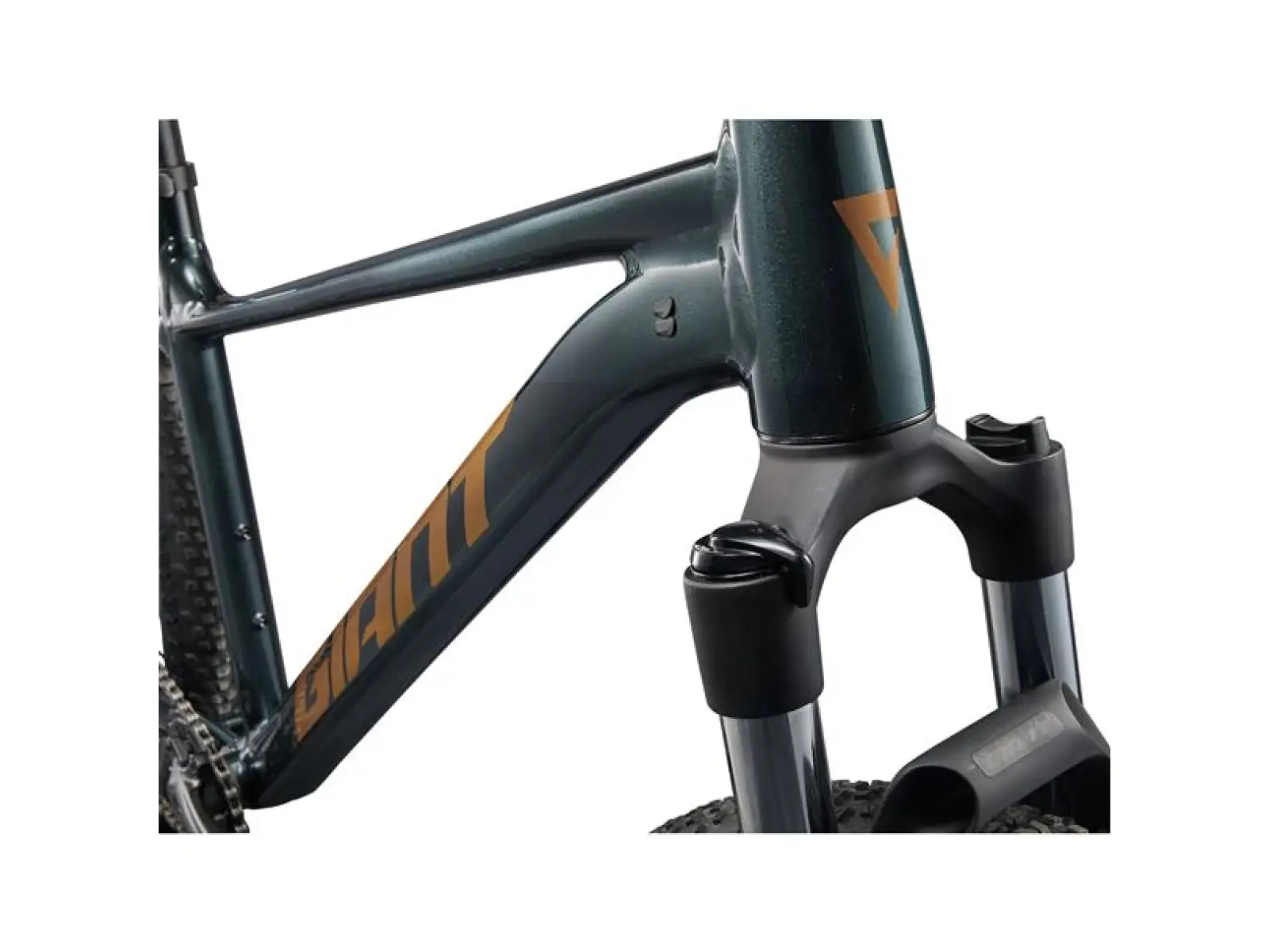 Giant Talon 29 2 horské kolo Asphalt Green
