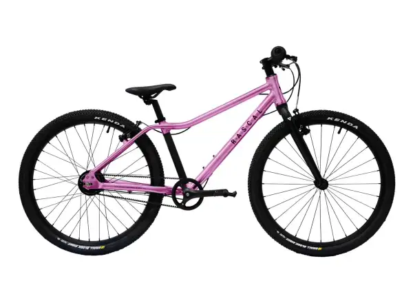 Rascal 24 7 sp. Shimano Nexus dětské kolo Raspberry