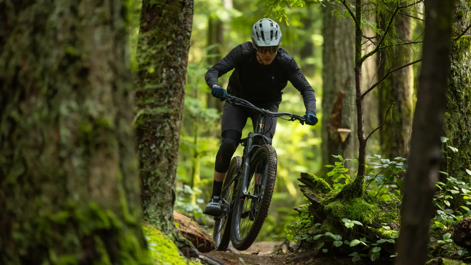 Nový Giant Stance a Liv Embolden 2026: Trailbiky, které už dávno nejsou jen pro začátečníky