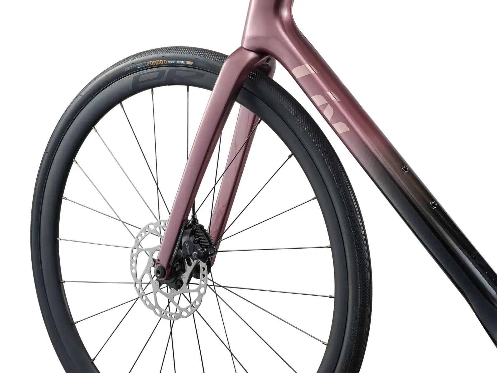 Liv Avail Advanced 1 silniční kolo Iron Rouge/Carbon