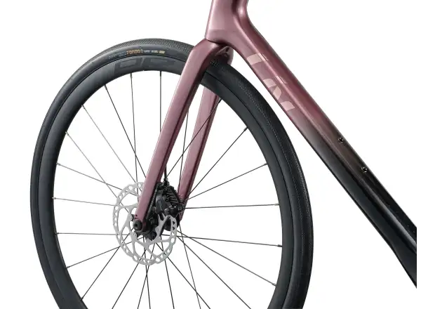 Liv Avail Advanced 1 silniční kolo Iron Rouge/Carbon