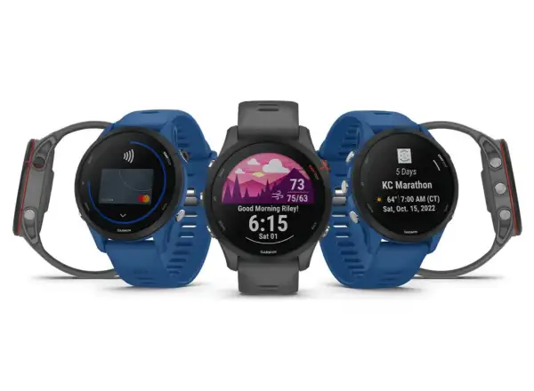 Garmin Forerunner 255 chytré hodinky Slate Gray