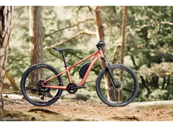 Giant Talon E+ Junior 24 dětské elektrokolo Terracotta