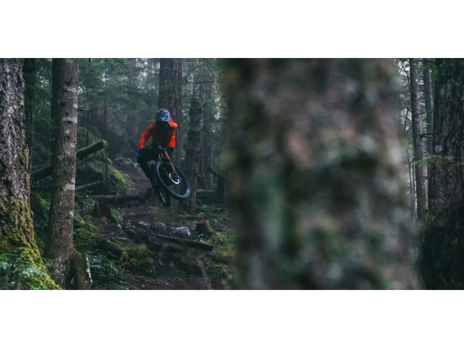 Fox 36 Float Grip2 29" odpružená vidlice 160 mm 15x110 mm 44 mm rake oranžová 2022