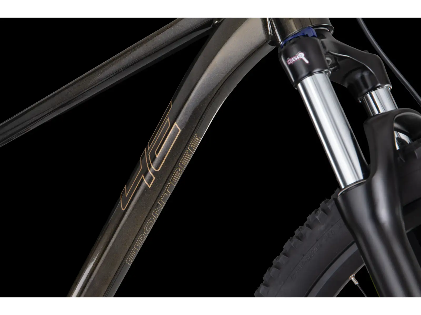 4Ever Frontbee XCM 29" horské kolo Gold galaxy