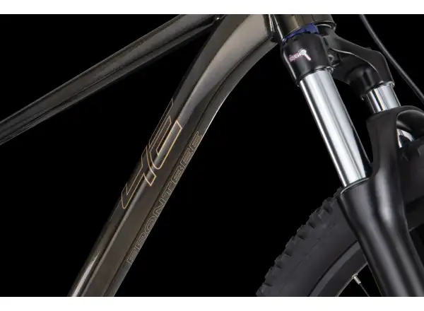 4Ever Frontbee XCM 29" horské kolo Gold galaxy