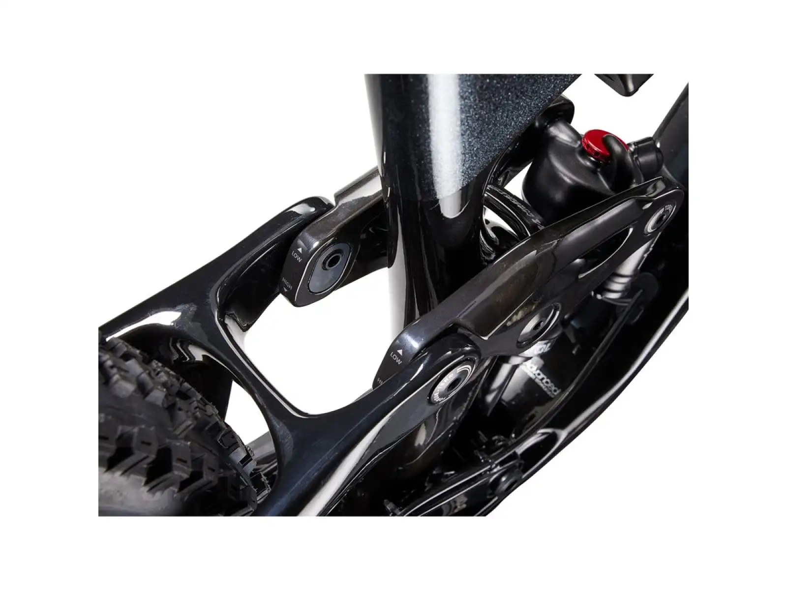 Giant Trance Advanced Pro 29 1 horské kolo carbon/black diamond