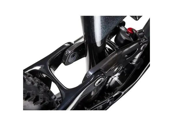 Giant Trance Advanced Pro 29 1 horské kolo carbon/black diamond