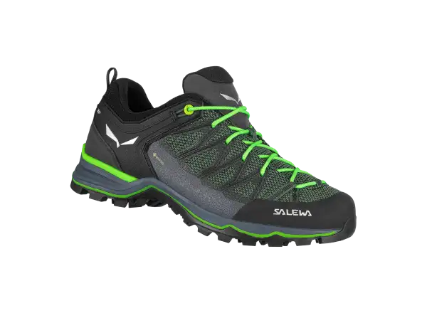 Salewa Mountain Trainer Lite GTX pánské turistické boty Myrtle/Ombre Blue
