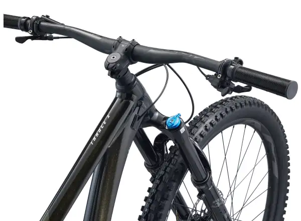 Giant Trance X 29 1 celoodpružené kolo Panther