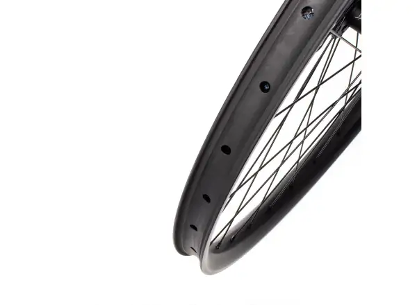 Javax DR521 Ratchet Disc IS6 karbonová 29" downhill kola