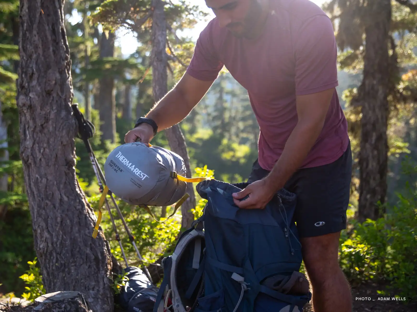 Therm-A-Rest Questar Regular Spací pytel -6 °C Balsam