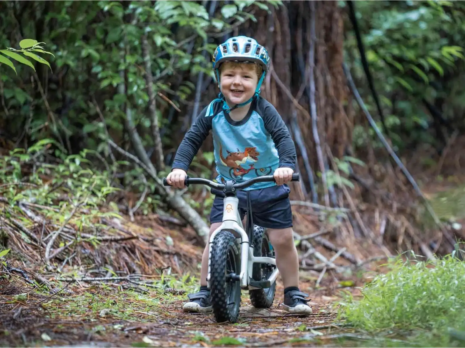 Kids Ride Shotgun Dirt Hero 14 odrážedlo s brzdou