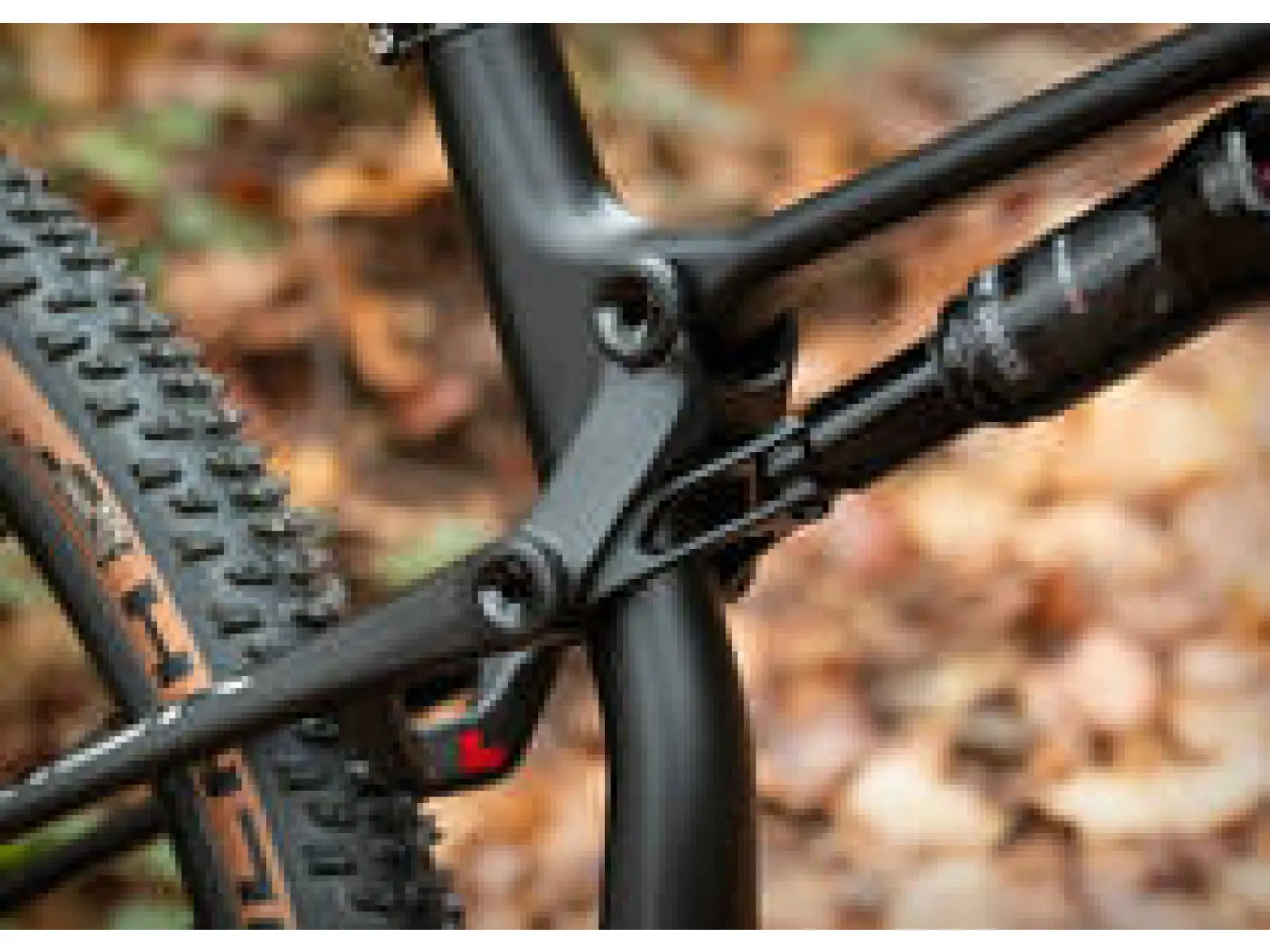 Superior Team XF 29 Issue R celoodpružené horské kolo Matte Carbon/Chrome/Team Red