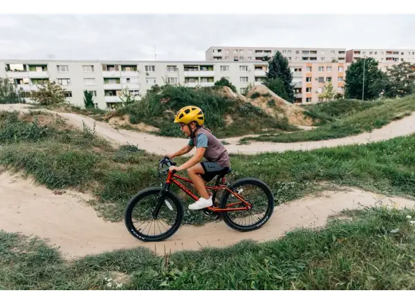Rascal 20 dětské kolo Titanium
