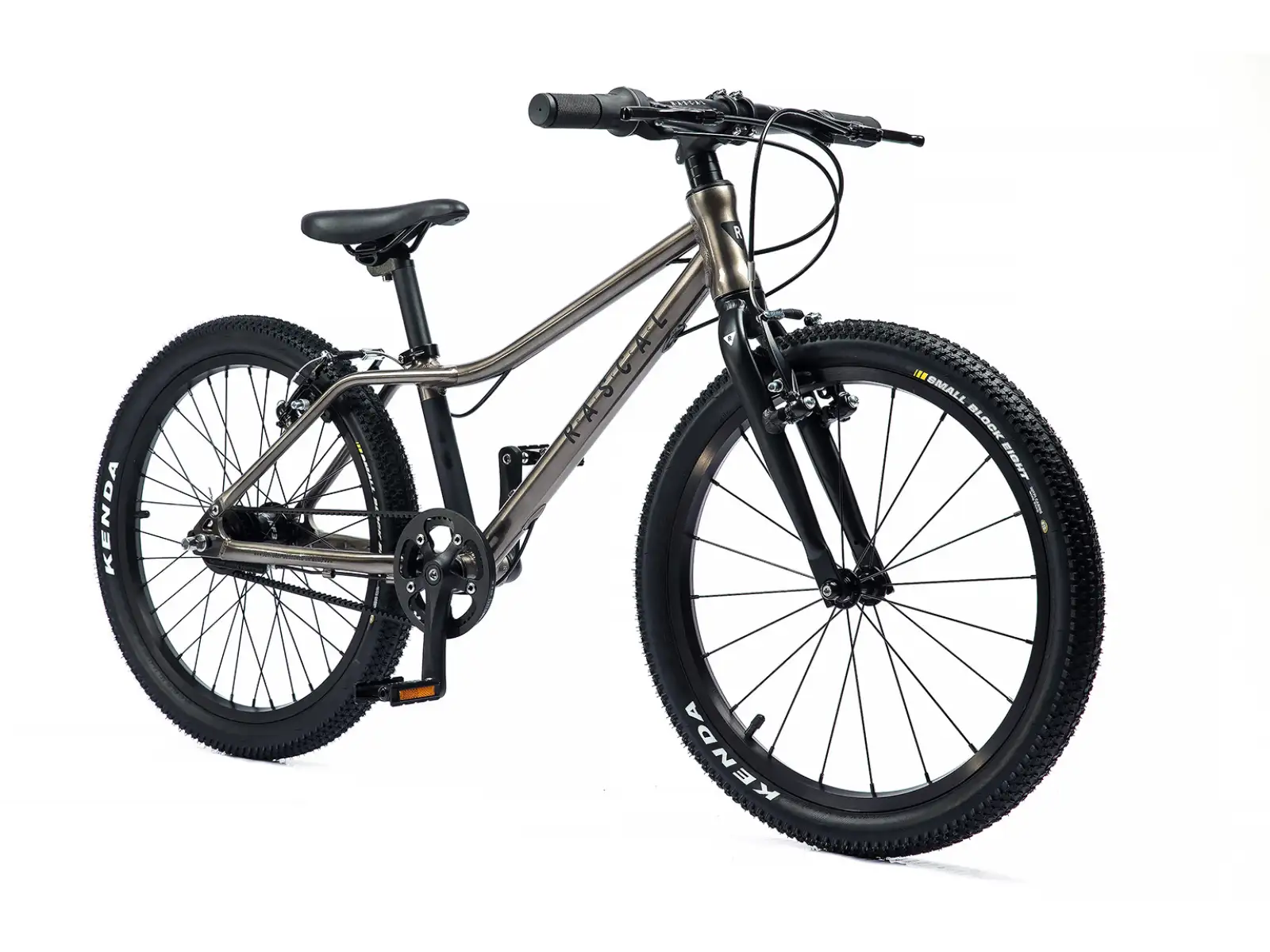 Rascal 20 dětské kolo Titanium