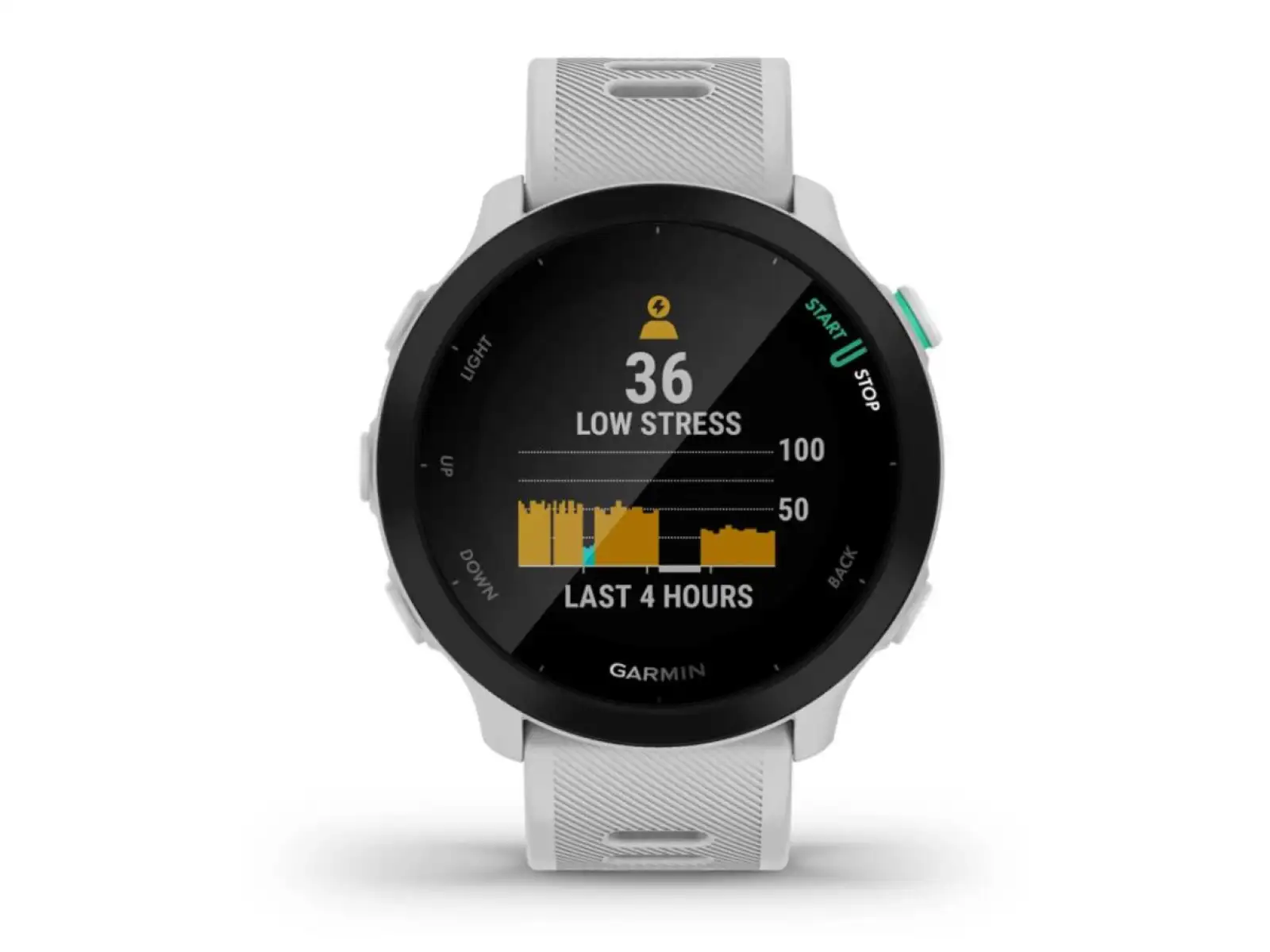 Garmin Forerunner 55 chytré hodinky White
