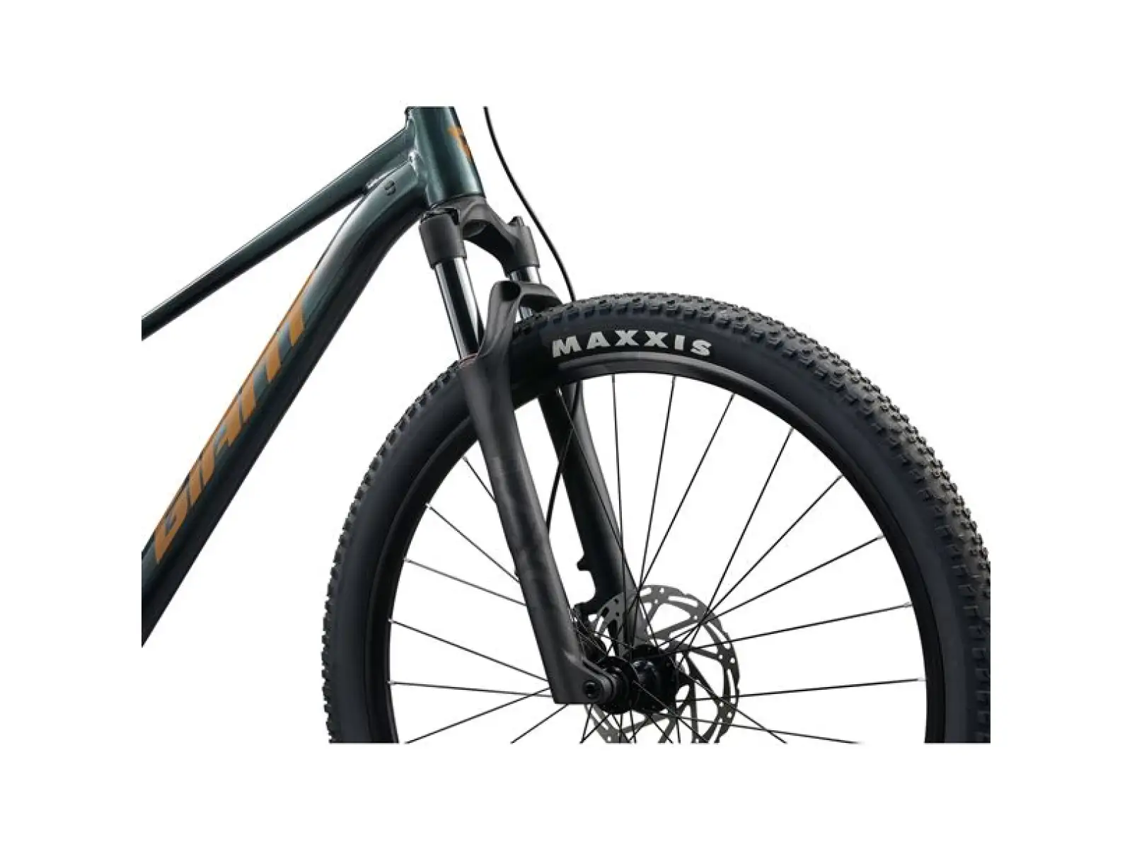 Giant Talon 29 2 horské kolo Asphalt Green