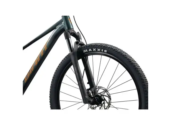 Giant Talon 29 2 horské kolo Asphalt Green