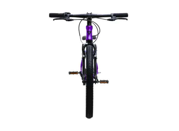 Rascal 20 dětské kolo Amethyst Limited