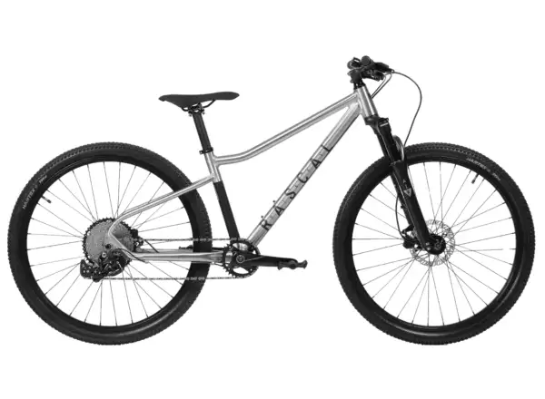 Rascal Wild 27 Limited dětské kolo Silver