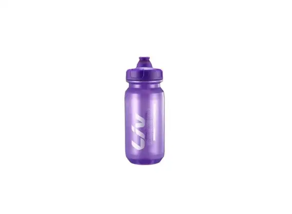 LIV CleanSpring lahev Purple/Silver 600ml