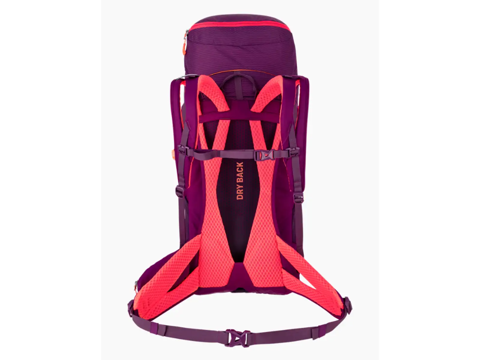 Salewa Alp Trainer 30 l + 3 l dámský batoh Syrah