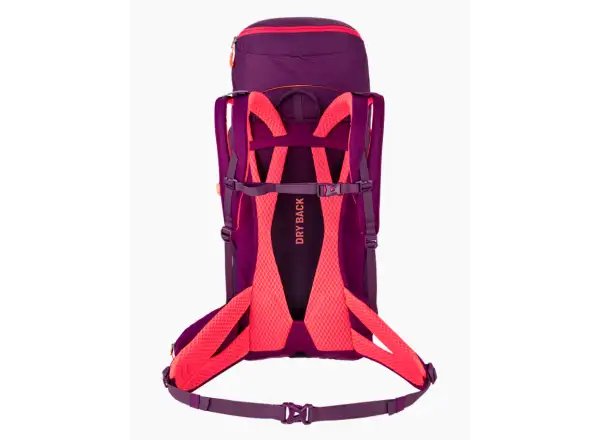 Salewa Alp Trainer 30 l + 3 l dámský batoh Syrah