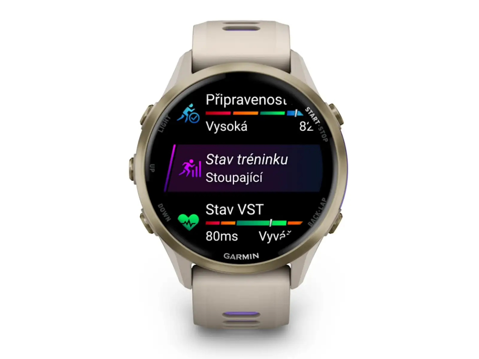 Garmin Forerunner 970 chytré hodinky French Grey/Indigo